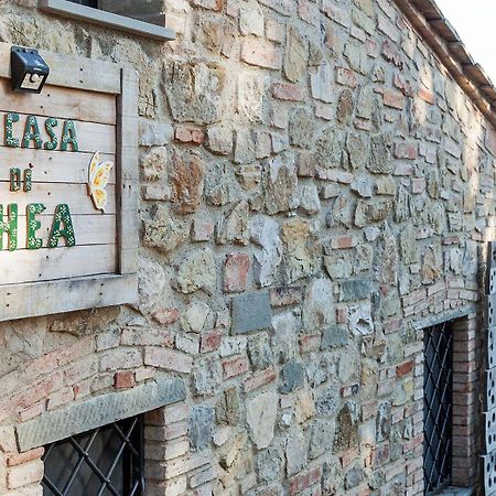La Casa Di Thea - Flo Apartments 임프루네타 외부 사진